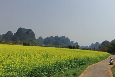 1 Day Yangshuo private Day Tour with the Scooter