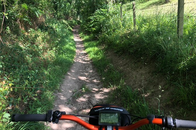 "100% emotion" ride on an all-terrain electric scooter - What the guides add to the ride