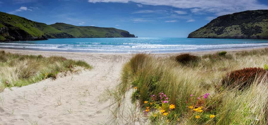 Akaroa: Lonely Beach Trail by E-Scooter. selfguided day out - A different way to see Akaroa’s east coast
