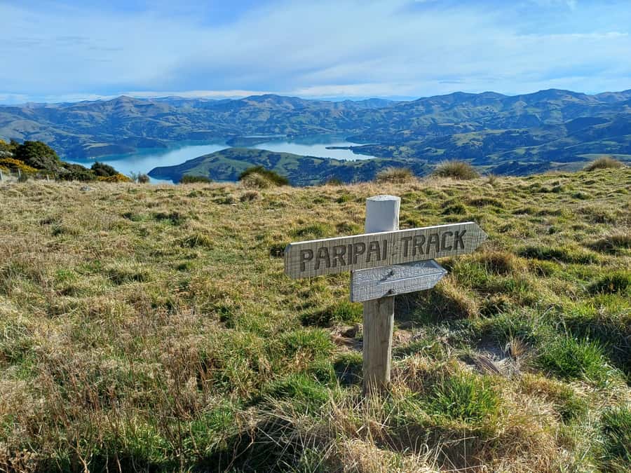Akaroa: Lonely Beach Trail by E-Scooter. selfguided day out - What the electric scooters feel like
