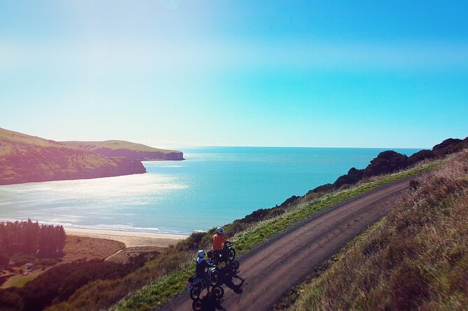 Akaroa Self Guided Electric Scooter Tour - A picnic with room to set your own pace