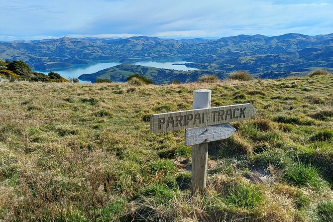 Akaroa Self Guided Electric Scooter Tour - Finishing at Takamatua Valley Vineyard
