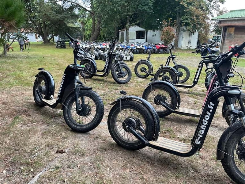 Arcachon Bay: electric scooter ride with varied routes. - Key points at a glance