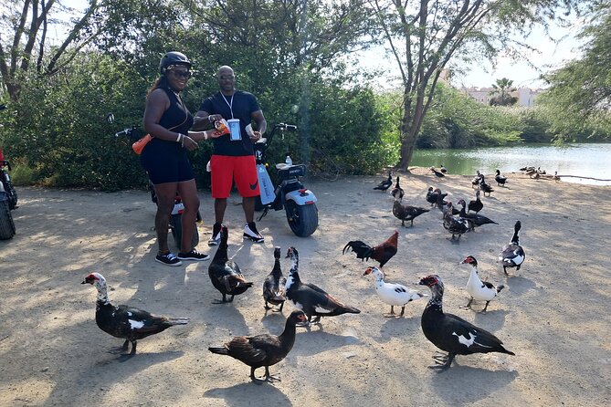 Aruba Electric Scooter Rental (1 or 2-seater) - Comfort, speed, and safety