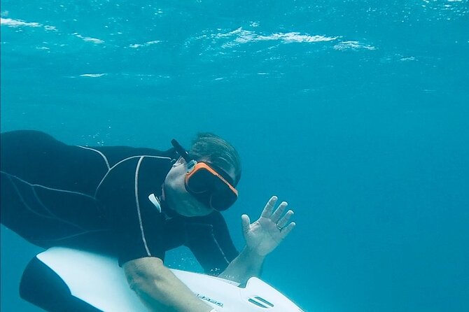 Aruba Seabob Scooter Reef Tour - The guides are a major part of the experience