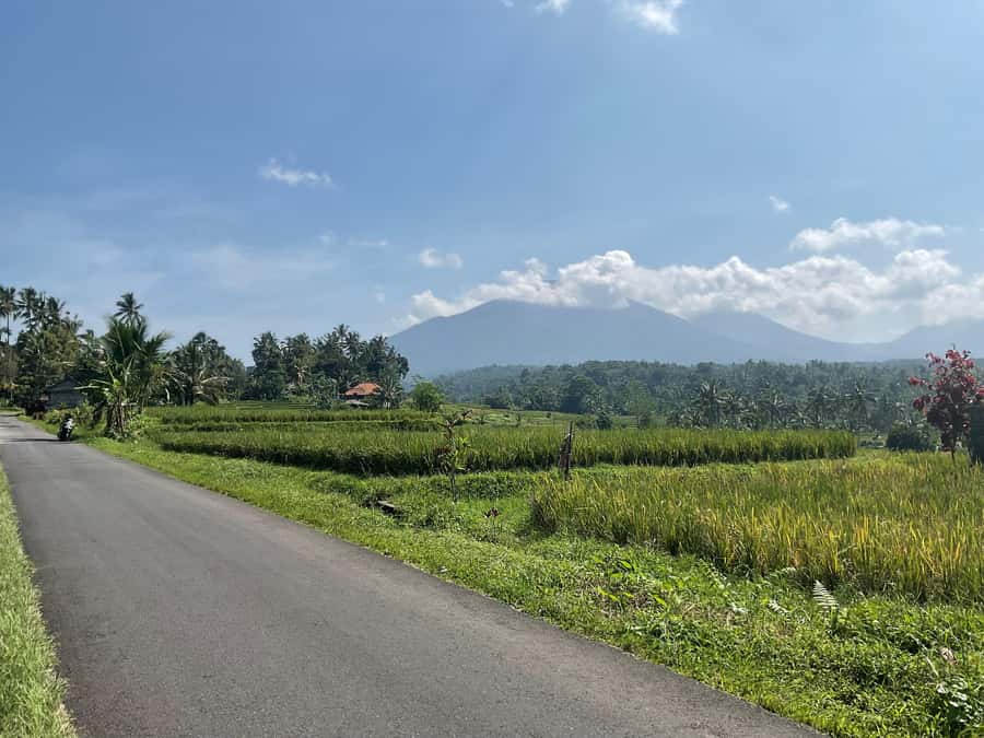 Bali Scooter Tour With Tour Guide - Local markets and Balinese food along the way