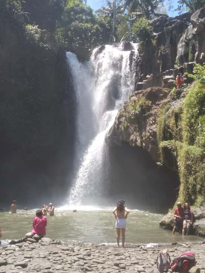 Bali Scooter Tour With Tour Guide - Pickup points, timing, and private group value