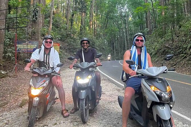 Bohol Full Day Waterfall & Countryside Scooter Tour - The Bilar Man-Made Forest and the road between stops