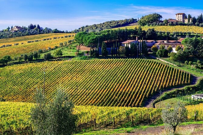Chianti Vespa Tour - Castellina in Chianti gives you time off the scooter