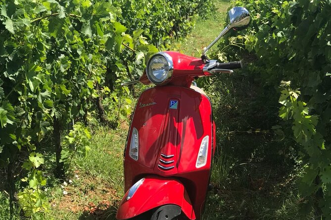 Chianti Vespa Tour - Wine tasting with views across Chianti