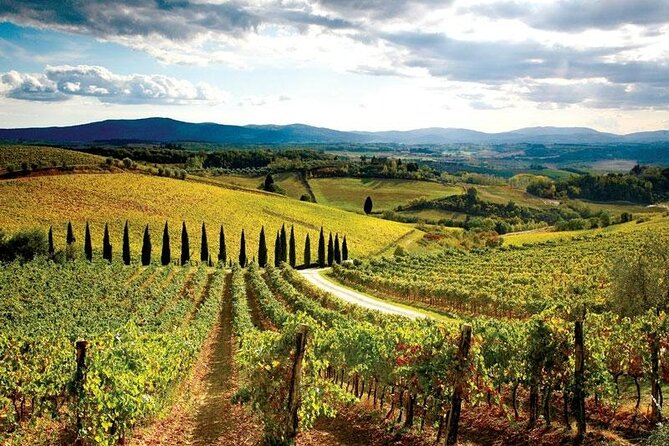 Chianti Vespa Tour - Weather, safety, and what to bring
