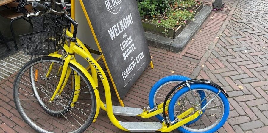 Delft - Step/scootertour in and around the city - What $32 buys you