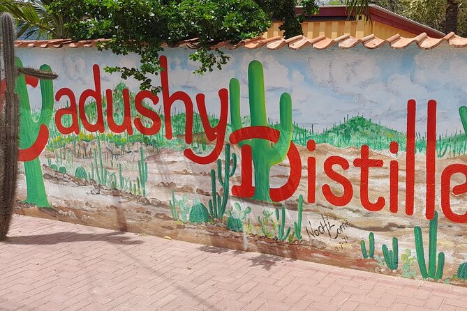 e-Scavenger hunt by car or scooter: 'Explore the Rincon Valley' - Dos Pos and the pleasure of finding the route