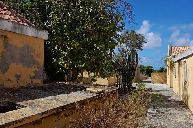 e-Scavenger hunt by car or scooter: 'Explore the Rincon Valley' - Goto Lake and Bonaire’s saltwater setting