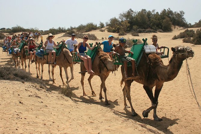 e-Scooter City Tour + Camel Ride inside Maspalomas Dunes - What the 30-minute camel ride is like
