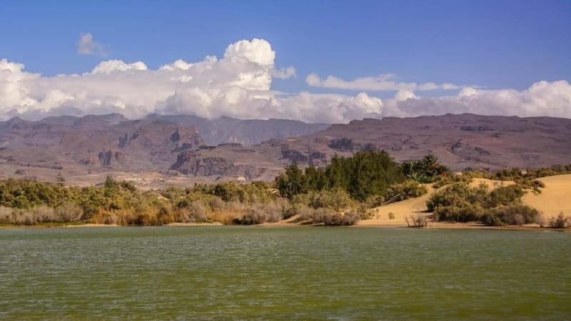e-Scooter City Tour + Camel Ride inside Maspalomas Dunes - Is $104 per person fair?