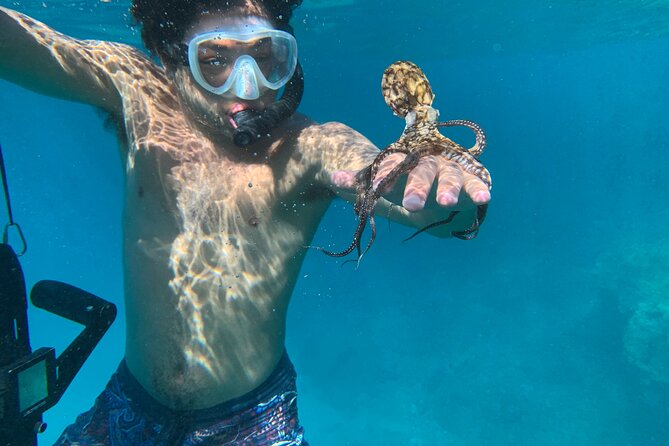 E-Scooter Snorkel With Photo and Video At Turtle Town - Why six people is the right group size