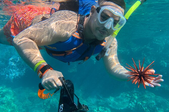 E-Scooter Snorkel With Photo and Video At Turtle Town - Is $159 a fair price?