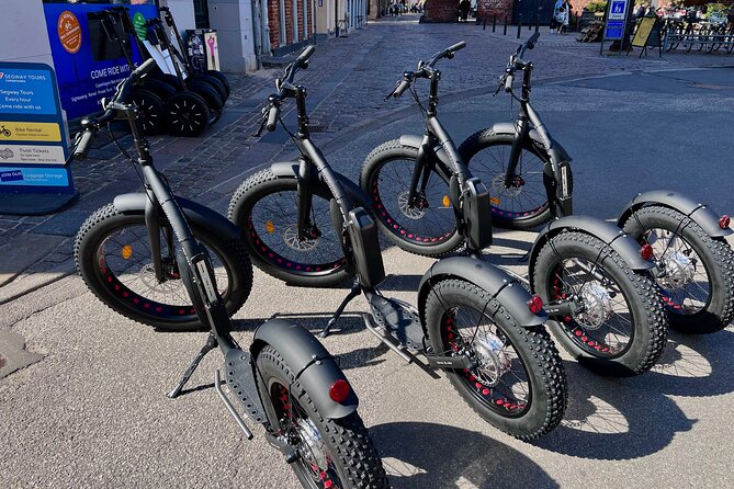 E-Scooter "Stand Up Kick Bike" 2 Hour Guided Copenhagen Tour - Amalienborg, Kastellet, and the Little Mermaid