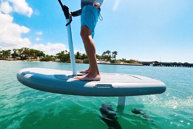 Efoil Ocean Adventure on a Flite Scooter! Sarasota. - Why the private format affects the value