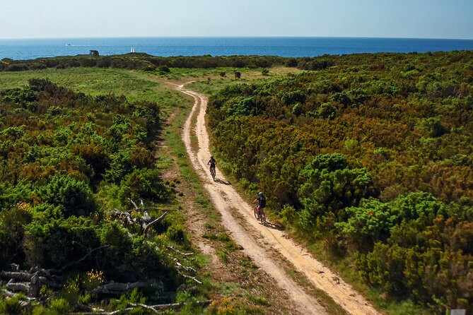 Electric Off-Road Scooter Tour in Pula - Who will enjoy this tour most