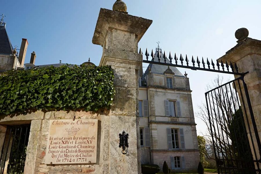 Electric scooter getaway and tasting at Château de Chamirey - The vineyard scenery and the best time to go