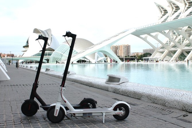 Electric Scooter Rental - Key things to know before you ride