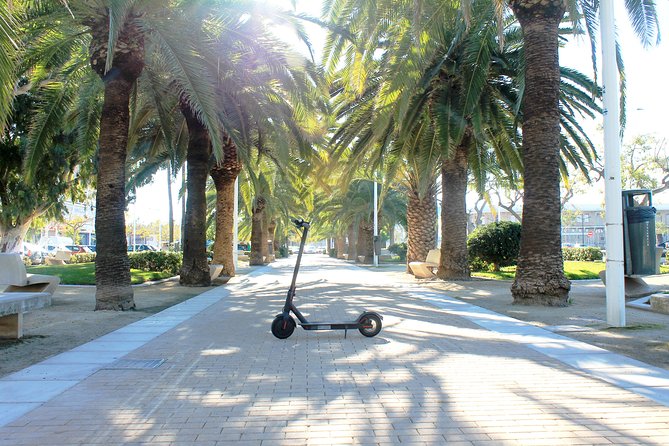 Electric Scooter Rental - Seeing historic Valencia on your own schedule