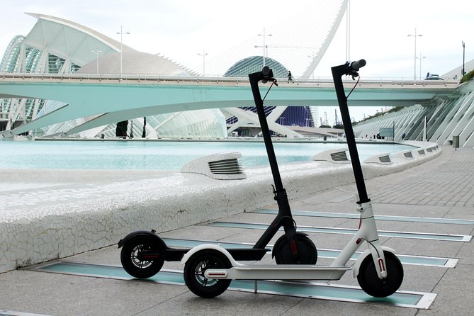 Electric Scooter Rental - Who will enjoy this rental most