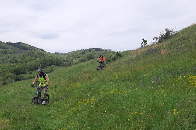 Electric scooter ride in the West of Lyon - Why the guide can make or break the hour