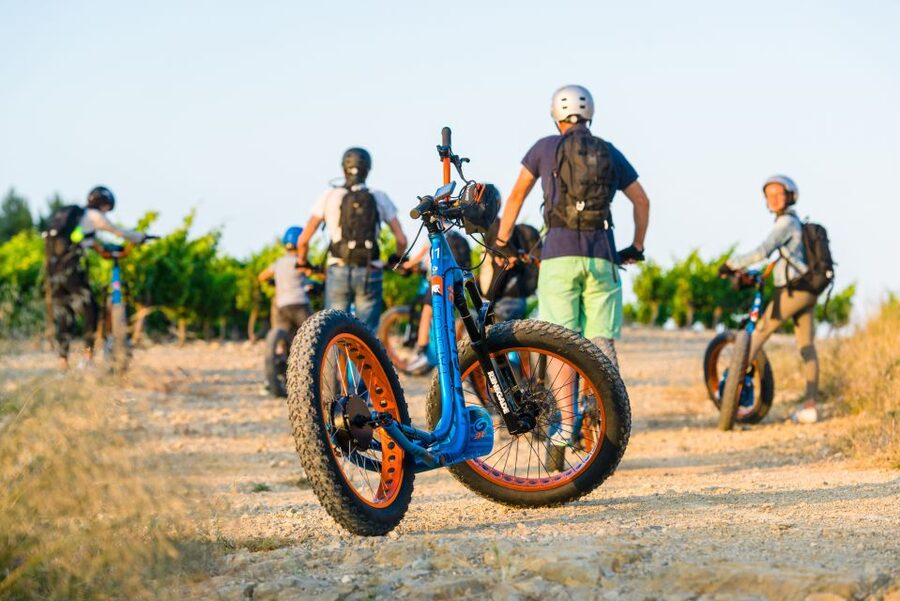 Electric Scooter Tour of Château l'Hospitalet estate - Biodynamic Farming and the La Clape Connection
