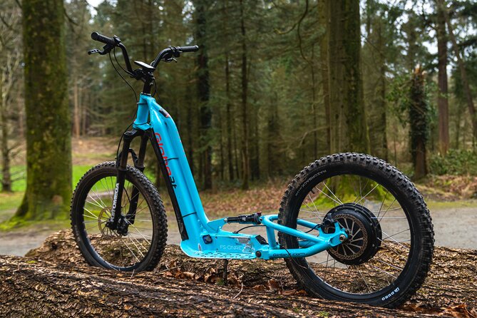 Explore Nature with All-Terrain E-Scooters - How the private format changes the experience