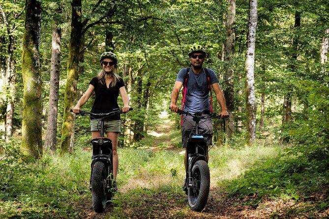 Explore the forests of Haut Languedoc on an electric scooter - Rough ground, woodland shade, and open views
