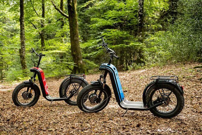 Explore the forests of Haut Languedoc on an electric scooter - Why the private format matters