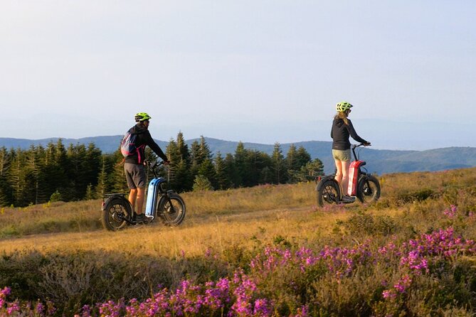 Explore the forests of Haut Languedoc on an electric scooter - Weather and cancellation details