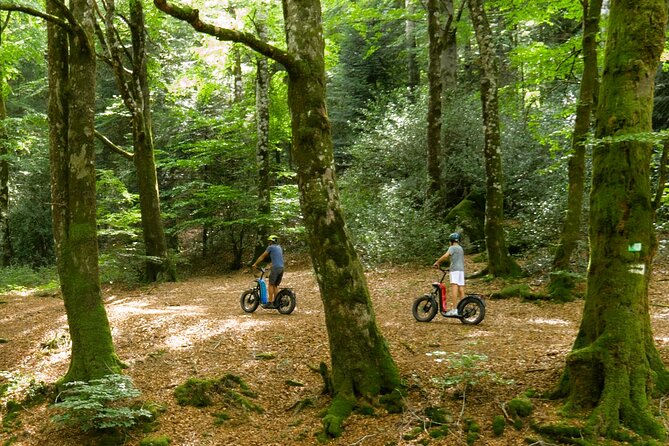 Explore the forests of Haut Languedoc on an electric scooter - Riding the forest paths with GPS guidance