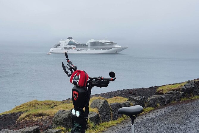 Eyjascooter Puffin Tour in Iceland - Ending at the Sea Life Trust Museum