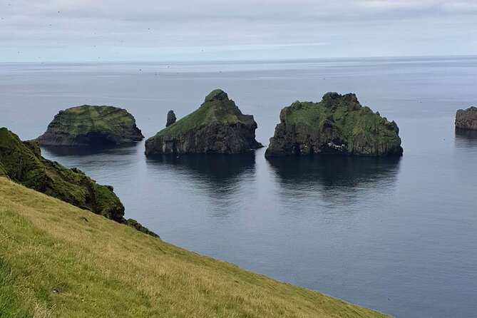 Eyjascooter volcano tour in Westman Island - Puffins and the island’s bird life