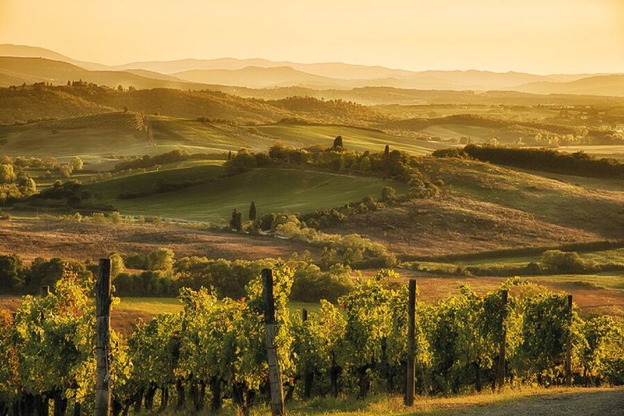 Florence/Badesse: Tuscany Group Vespa Tour with Wine Tasting - Who will enjoy this tour most