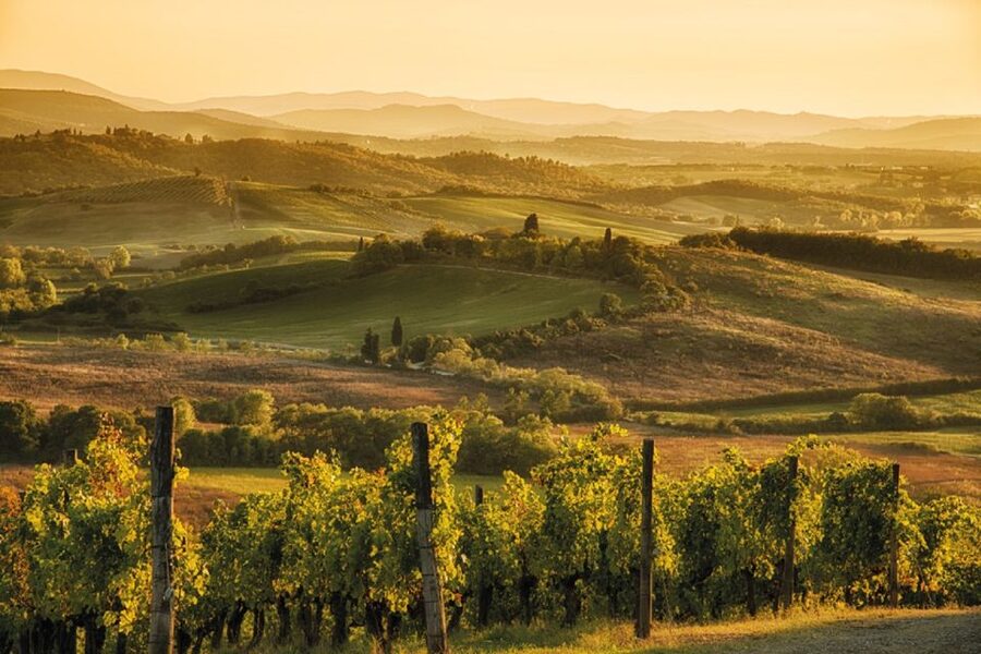 From San Gimignano: Vespa Tour in Chianti - Who will enjoy this outing most?