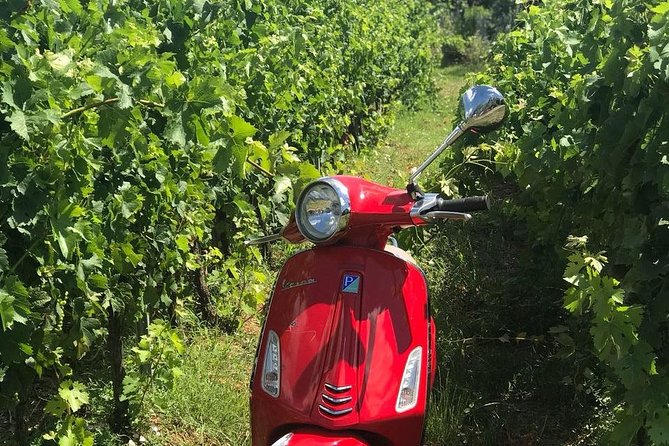 Full-Day Chianti Tour by Vespa Scooter from San Gimignano - Casale dello Sparviero: The Day’s Main Pause