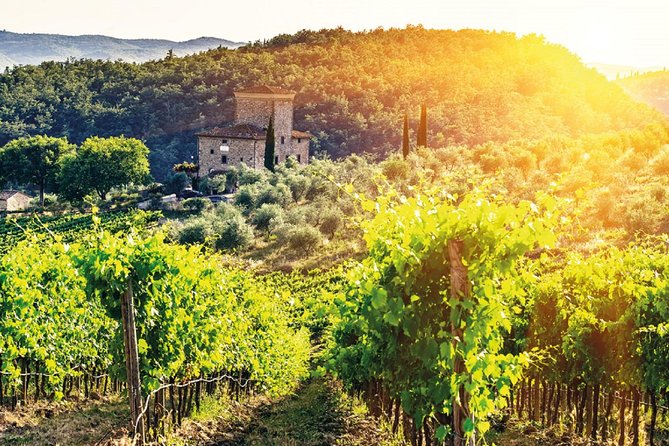 Full-Day Chianti Tour by Vespa Scooter from San Gimignano - Radda in Chianti and the Small-Village Feel
