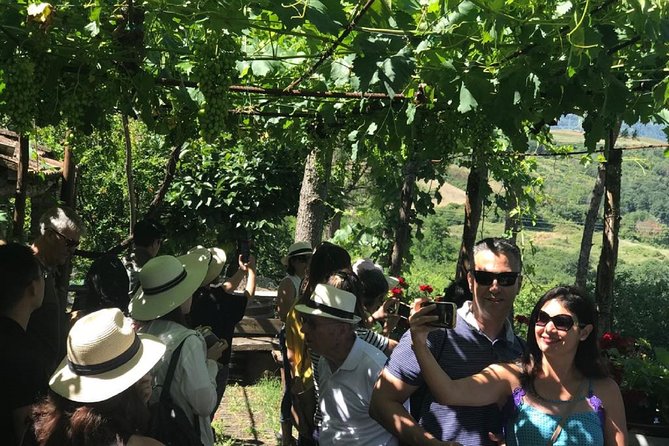 Full-Day Chianti Tour by Vespa Scooter from San Gimignano - What the $168 Price Really Covers