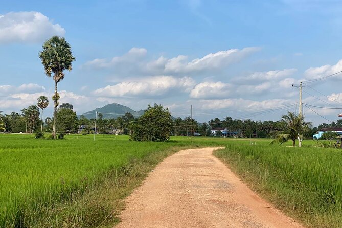 Full Day Pepper Farm Adventure by Scooter - Rice paddies and Kampot’s open country