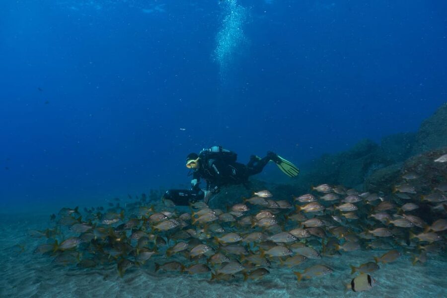 Funchal: DPV- Scooter Dive Adventure - Is $69 a good value?