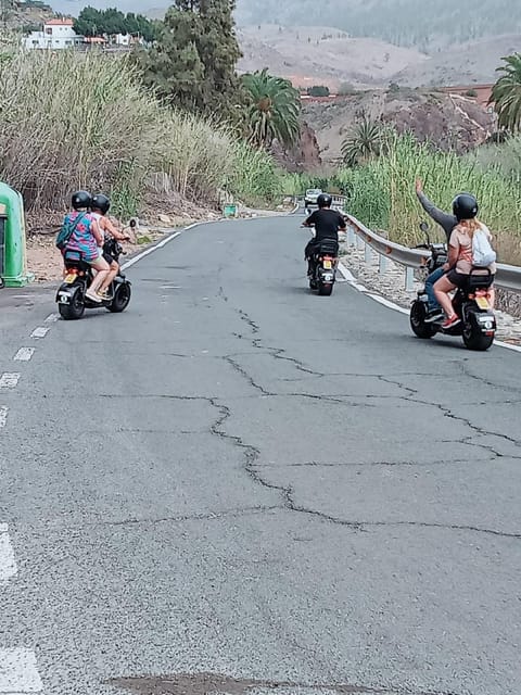 Gran Canaria: Los Pilancones Natural Park e-Scooter Tour - The Ayagaures Valley, palms, and fruit trees