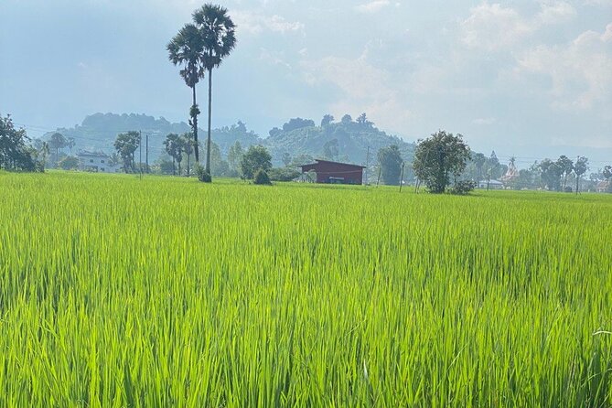 Half-Day Adventure to the Pepper Farm by Scooter - What the $30 price includes