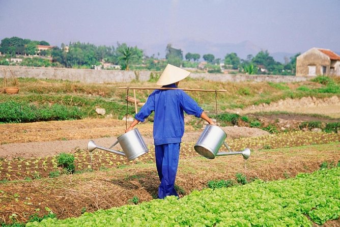 Half-day Electric Scooter Countryside Adventure In Hoi An - Key points to know before booking