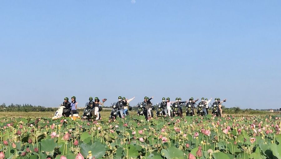 Half Day Exploring Hoi An Countryside in a Vespa - Timing, comfort, and who should book