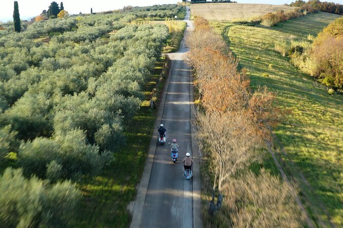 Half Day Vespa Countryside Tour and Tastings in Istria - Padna and the hill villages of Slovenian Istria